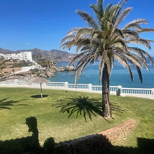 palmeras-8-menyber.es-andalucia.com/